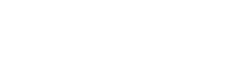 Logo Nicole Sauer Webdesign